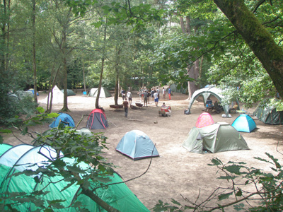 Year group camp
