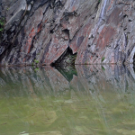 Fish in a quary in the lake district