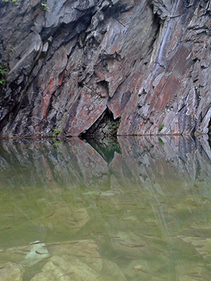 Fish in a quary in the lake district