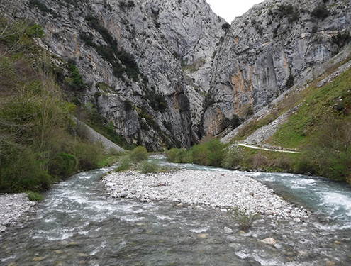 Cares Gorge the Picos de Europa