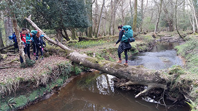 Crossing a stream