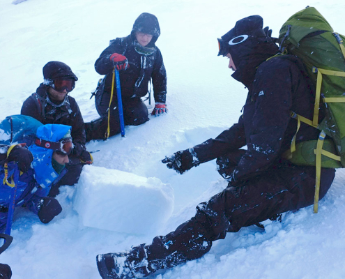 Looking at the snowpack