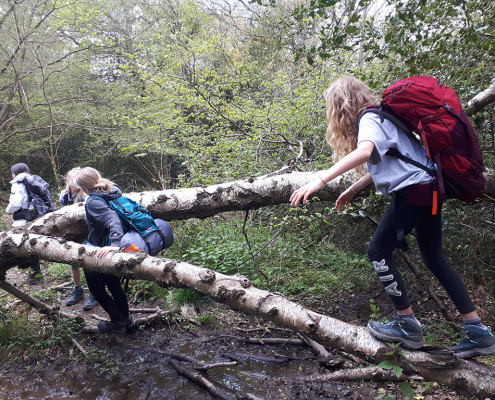 Log Balancing to avoid mud