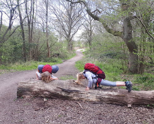 Press ups at the end of the day