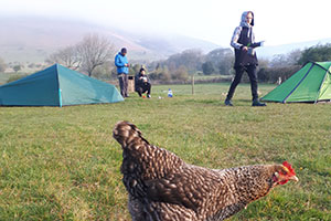 Morning on a campsite